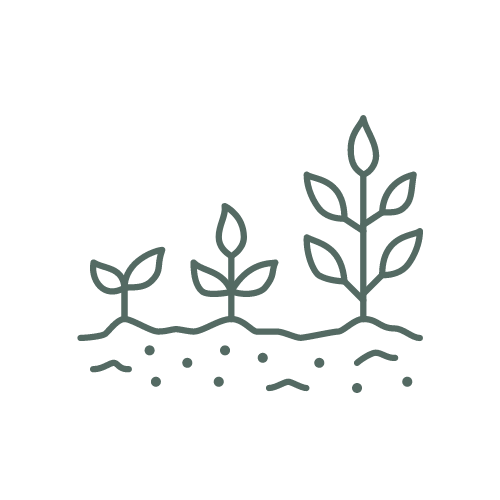 Plants growing icon